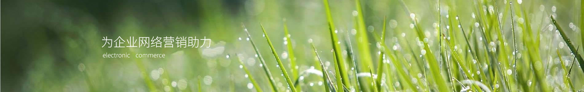 ݸʥԴƼ޹˾